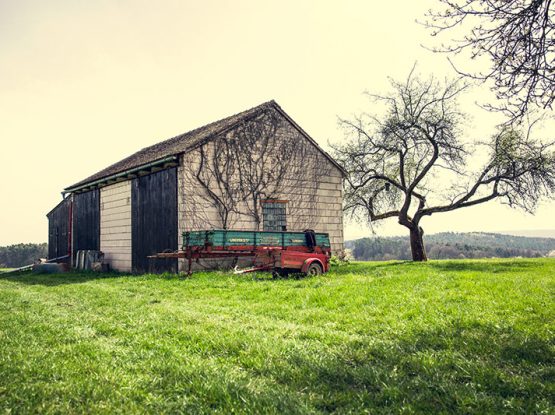 Green House